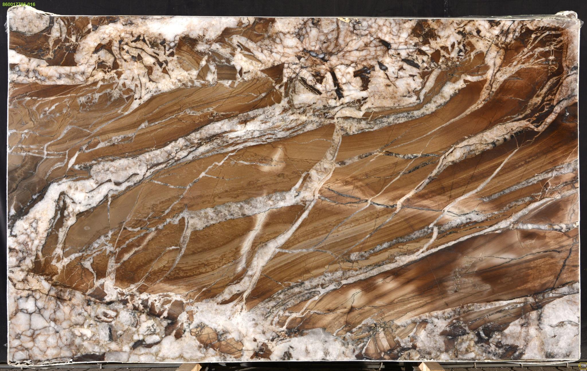 SPLENDID ETERNITY  - Quartzite - 135'x 81' - Brown