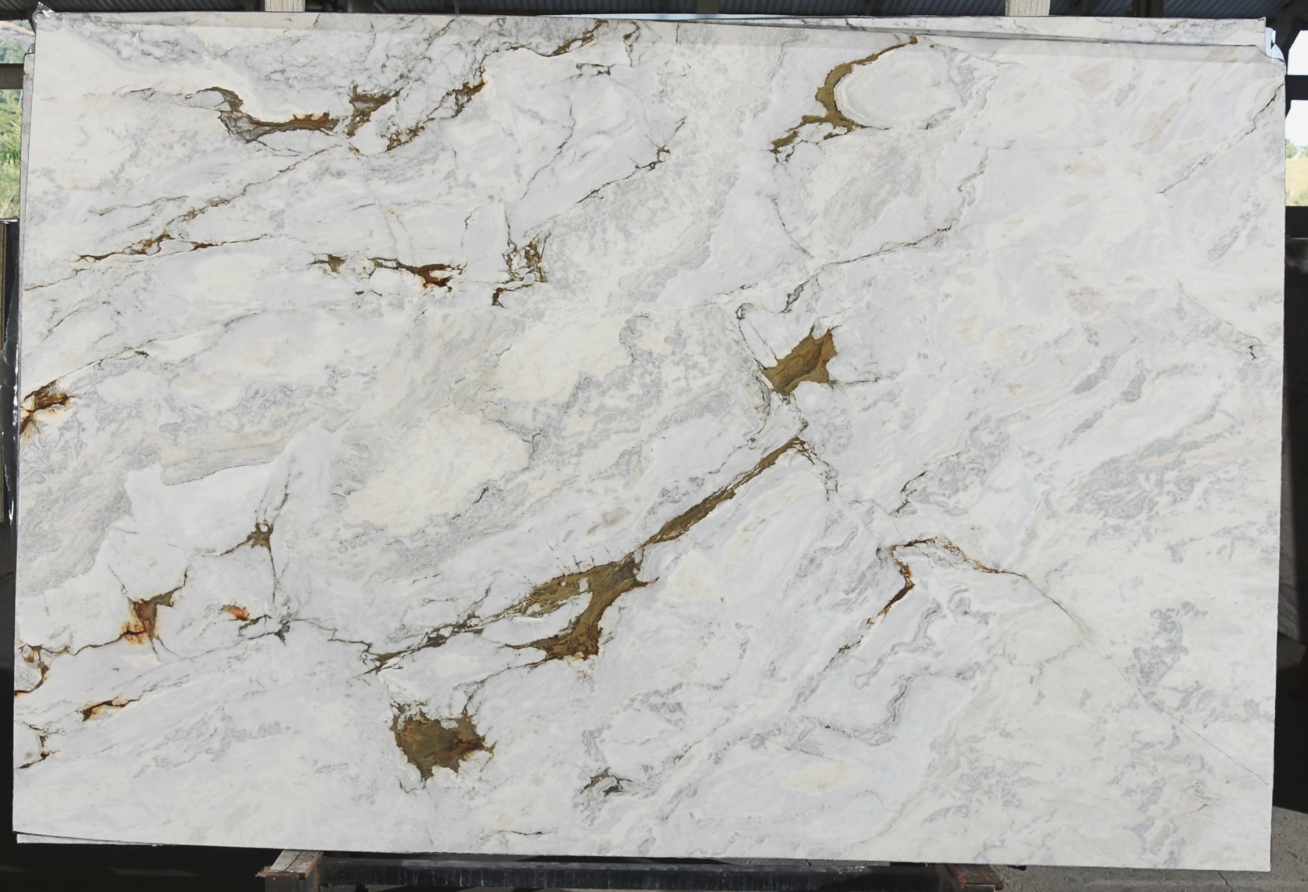 Calacatta D'oro - Granite & Quartzite - 122'x 79' - white Gold 